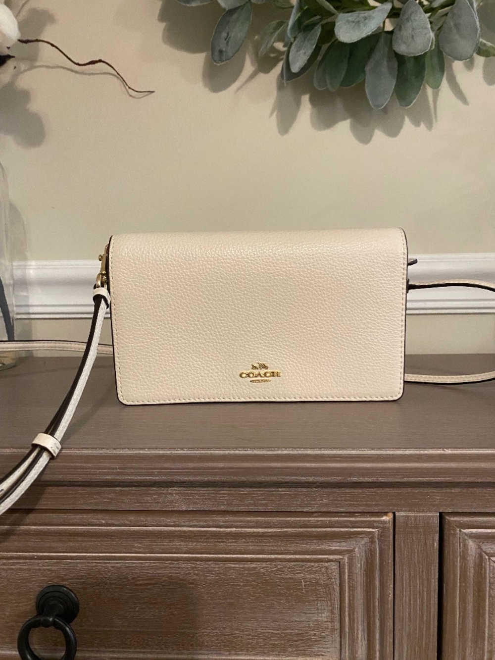 Coach Anna crossbody clutch